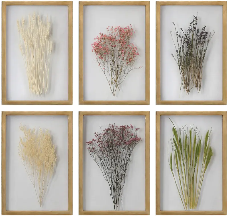 Assorted Preserved Blossoms Wall Art