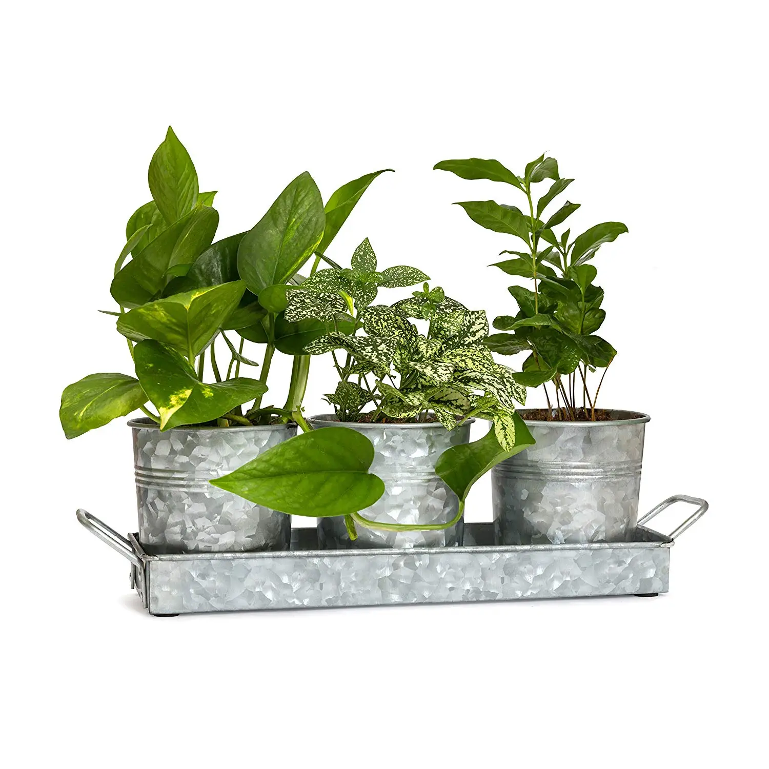 indoor Outdoor Galvanize Wholesale Zinc Planters Flower Plant Pots smart home decoration