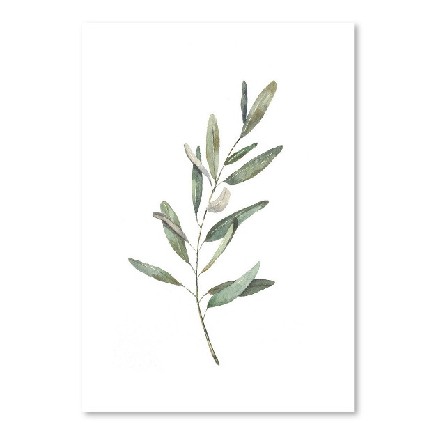 Americanflat Botanical Minimalist Olive Branch By Cami Monet Poster