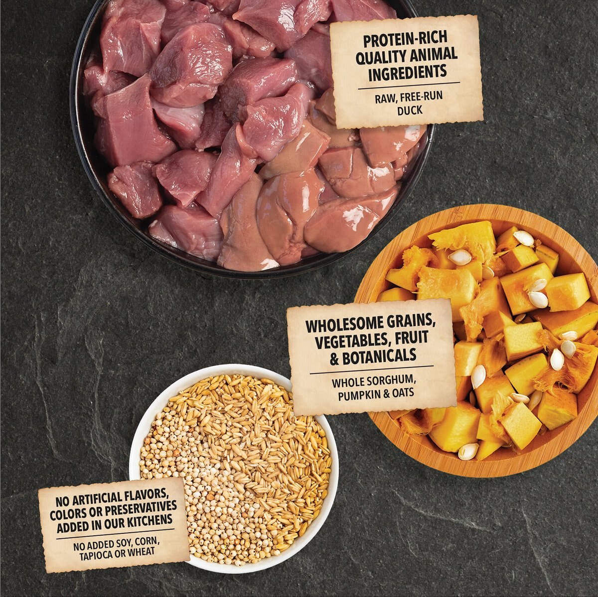 ACANA Singles + Wholesome Grains Limited Ingredient Diet Duck and Pumpkin Recipe Dry Dog Food