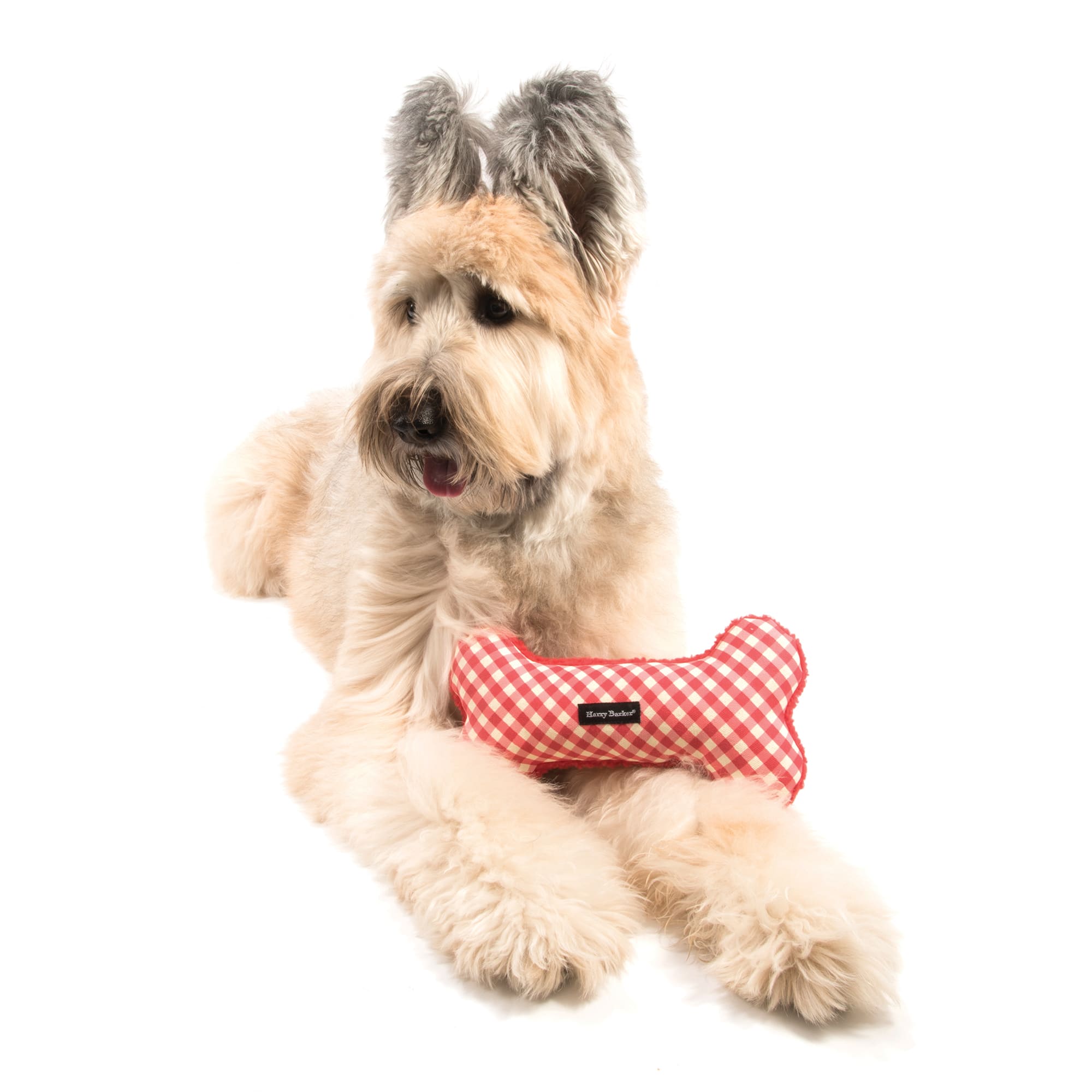 Harry Barker Red Gingham Bone Canvas Dog Toy， Small