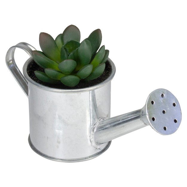 Tropical Rose Succulent In Water Can Artificial Potted Plant Green silver