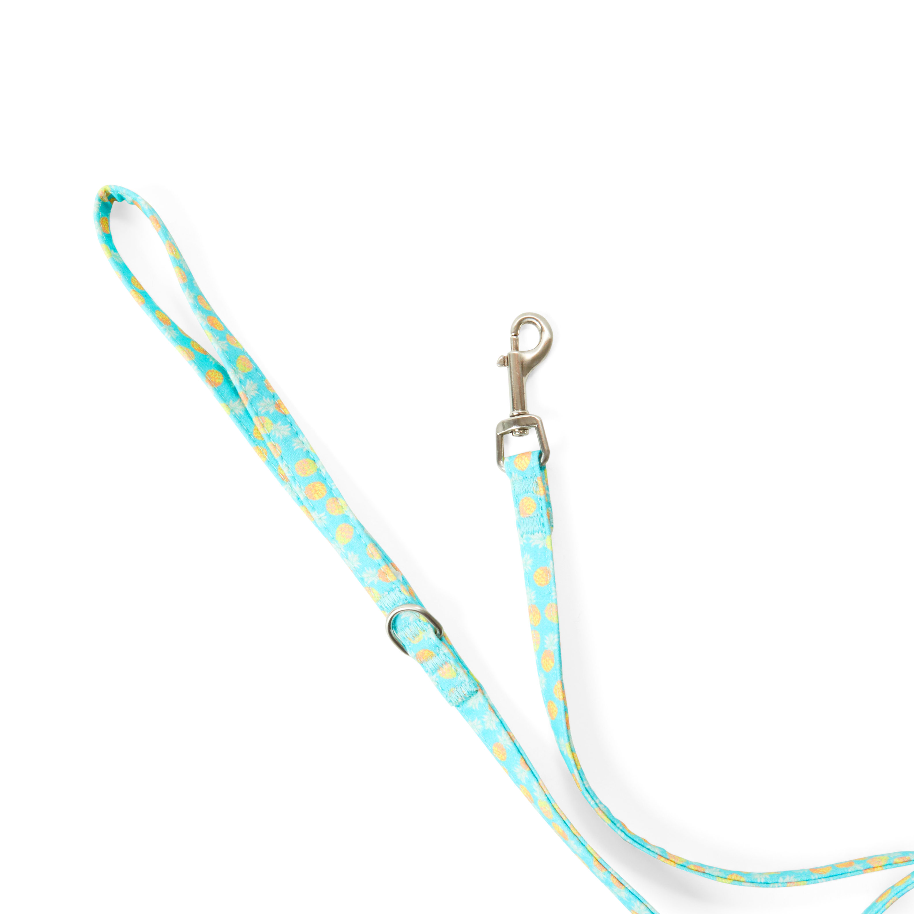 YOULY Small Dog Pineapple Dog Leash， 5 ft.