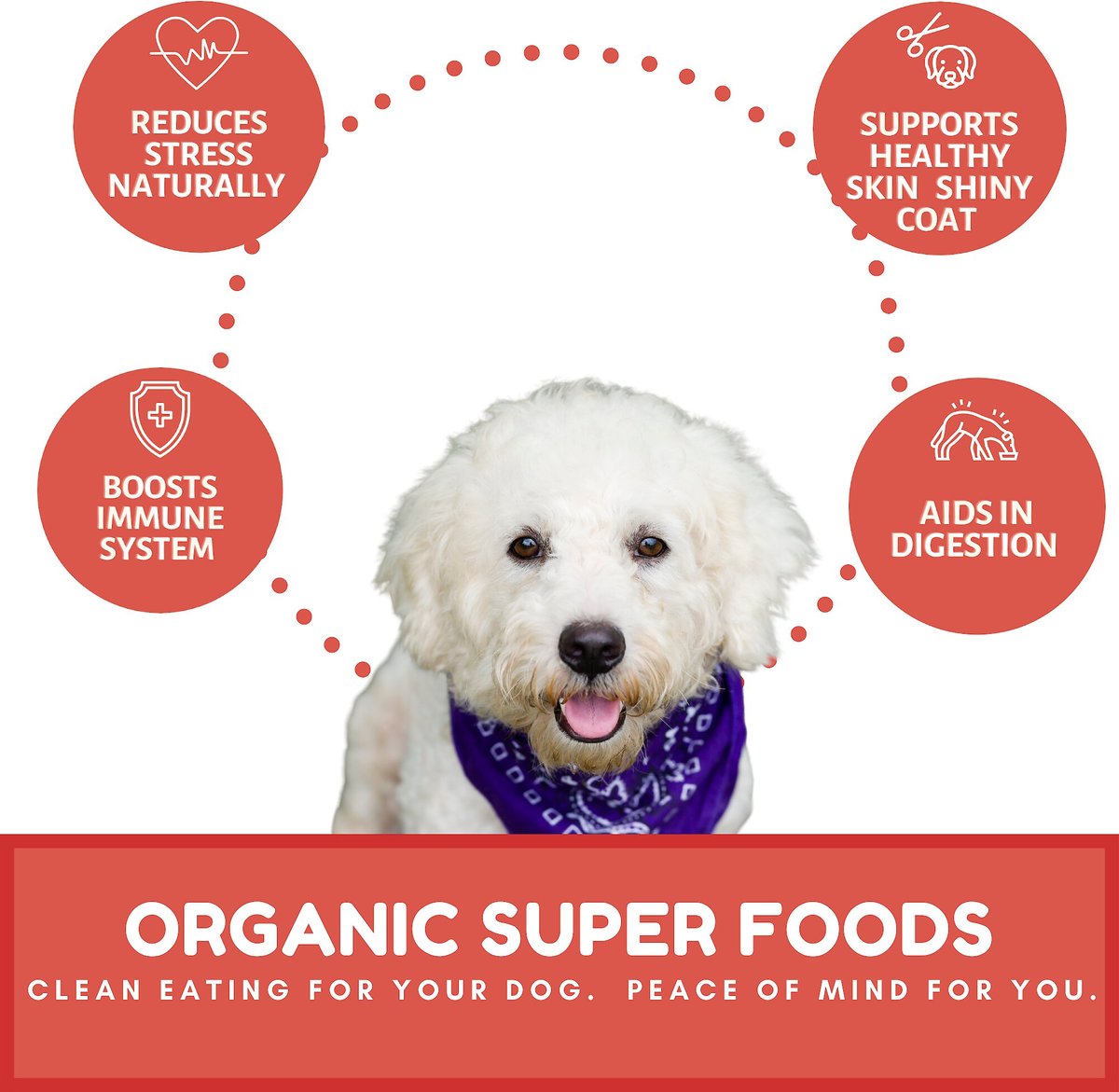 Dog Mamma’s Organic Apple Cranberry Crisp Dog Treats