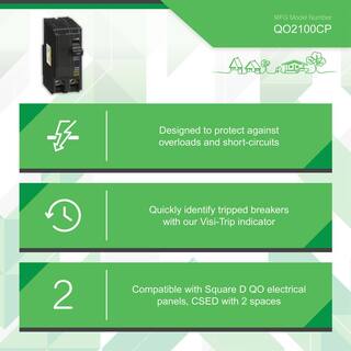 Square D 100 Amp 2-Pole Circuit Breaker QO2100C