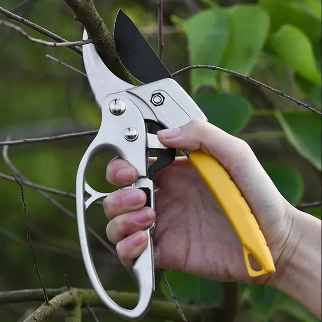 Pruner Pruning Shear Blade SK 5 Garden Cutter Plant Scissor Branch Leaves Picking Bypass Potted Trimmer Sk5 Hardware Hand Tool