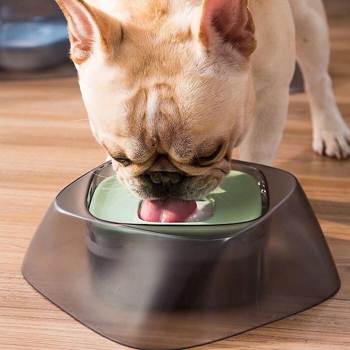 Pet Life Hydritate Anti-Puddle Dog and Cat Water Bowl