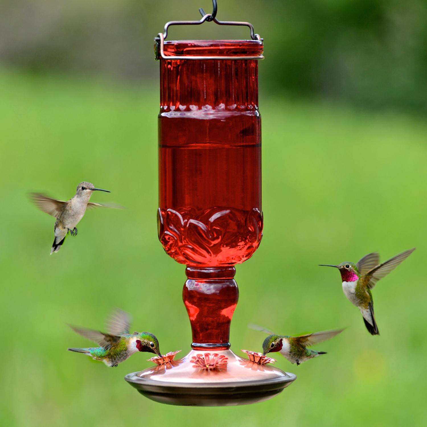 Perky-Pet Hummingbird 24 oz Glass/Metal/Plastic Nectar Feeder 4 ports