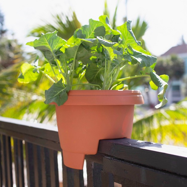 Wide Oval Balcony Rail Planter