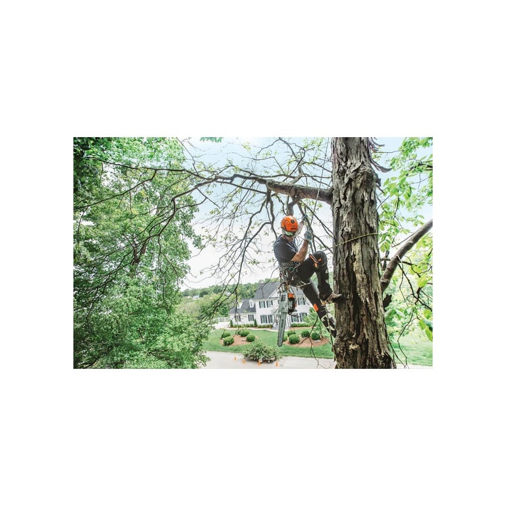 Stihl 14 Bar 35.2cc Gas-Powered Arborist Chainsaw ;