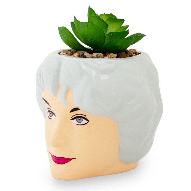 Silver Buffalo The Golden Girls Dorothy 3 inch Ceramic Mini Planter With Artificial Succulent