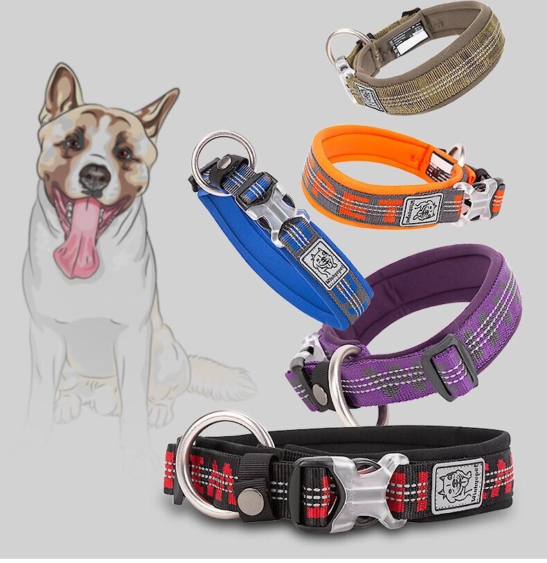 Chai's Choice Premium Dog Collar