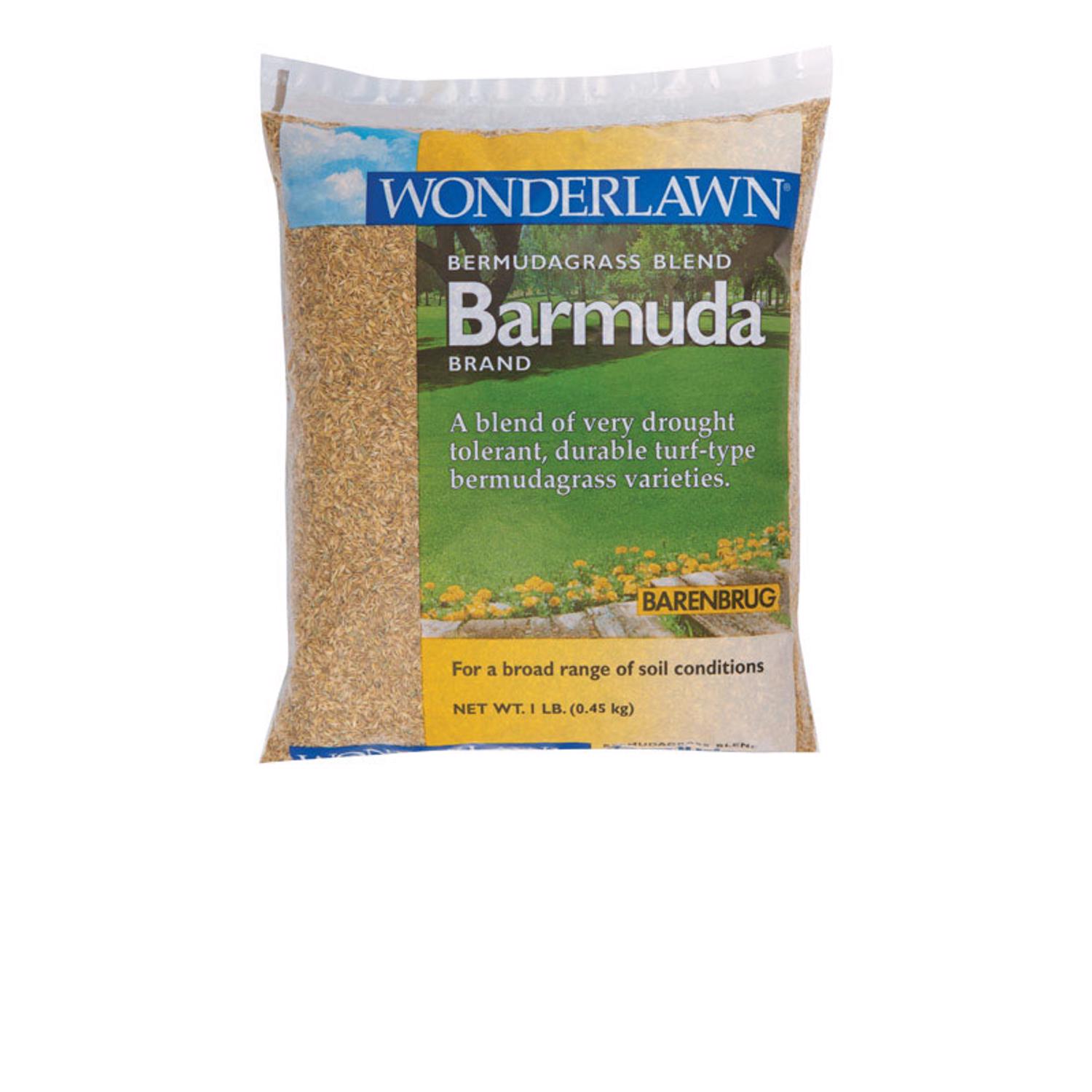 Barenbrug Wonderlawn Bermuda Grass Full Sun Grass Seed 1 lb