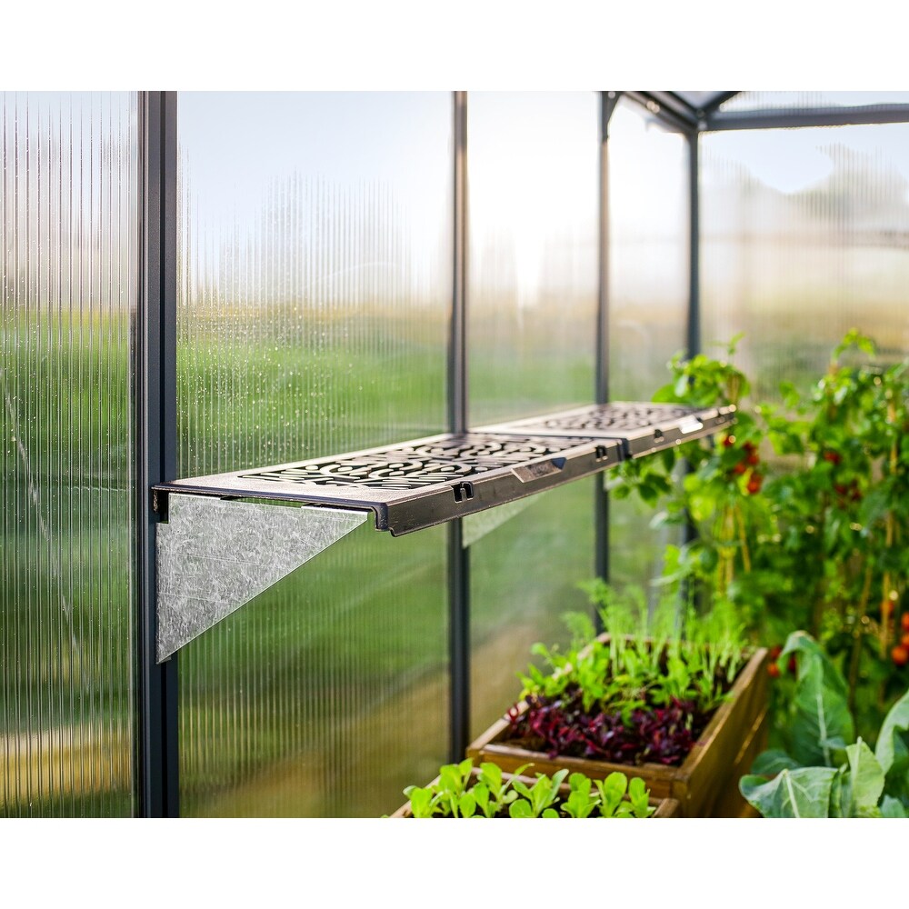 Canopia Signature 26 in. W x 10.2 in. D x 6.5 in. H Plastic Shelf Kit for Greenhouse   12 Units   26 in. x 10.2 in.