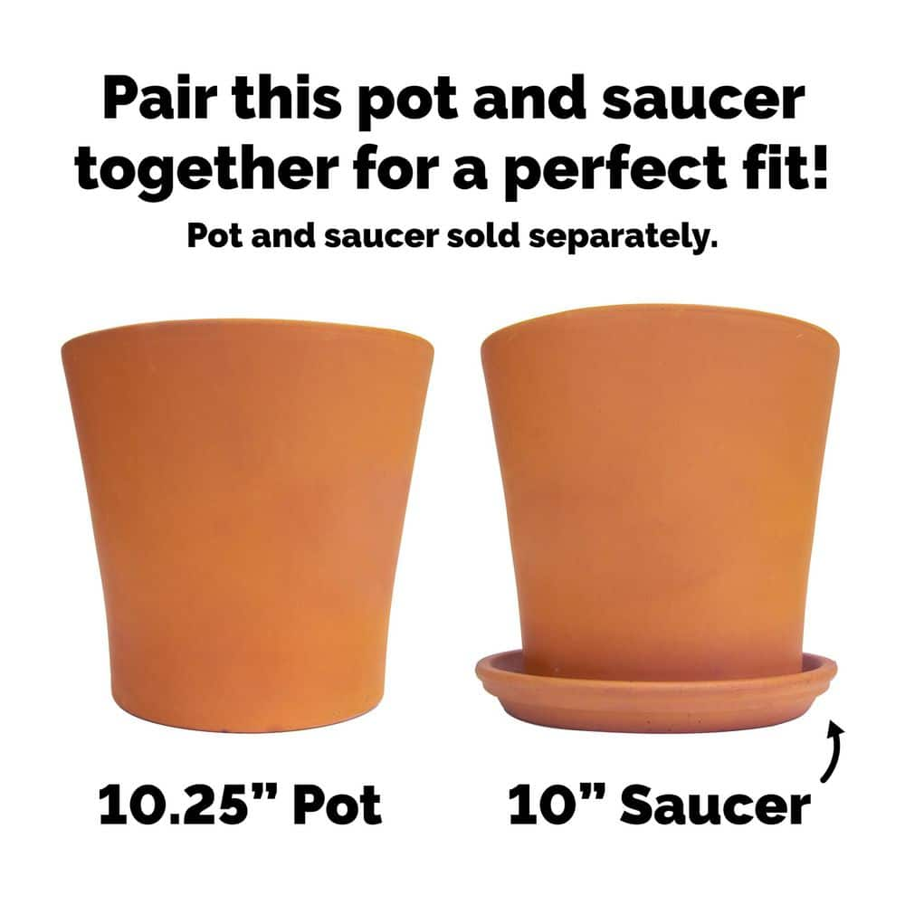 Pennington 10 in. Medium Terra Cotta Clay Flair Pot Cabo 100523388