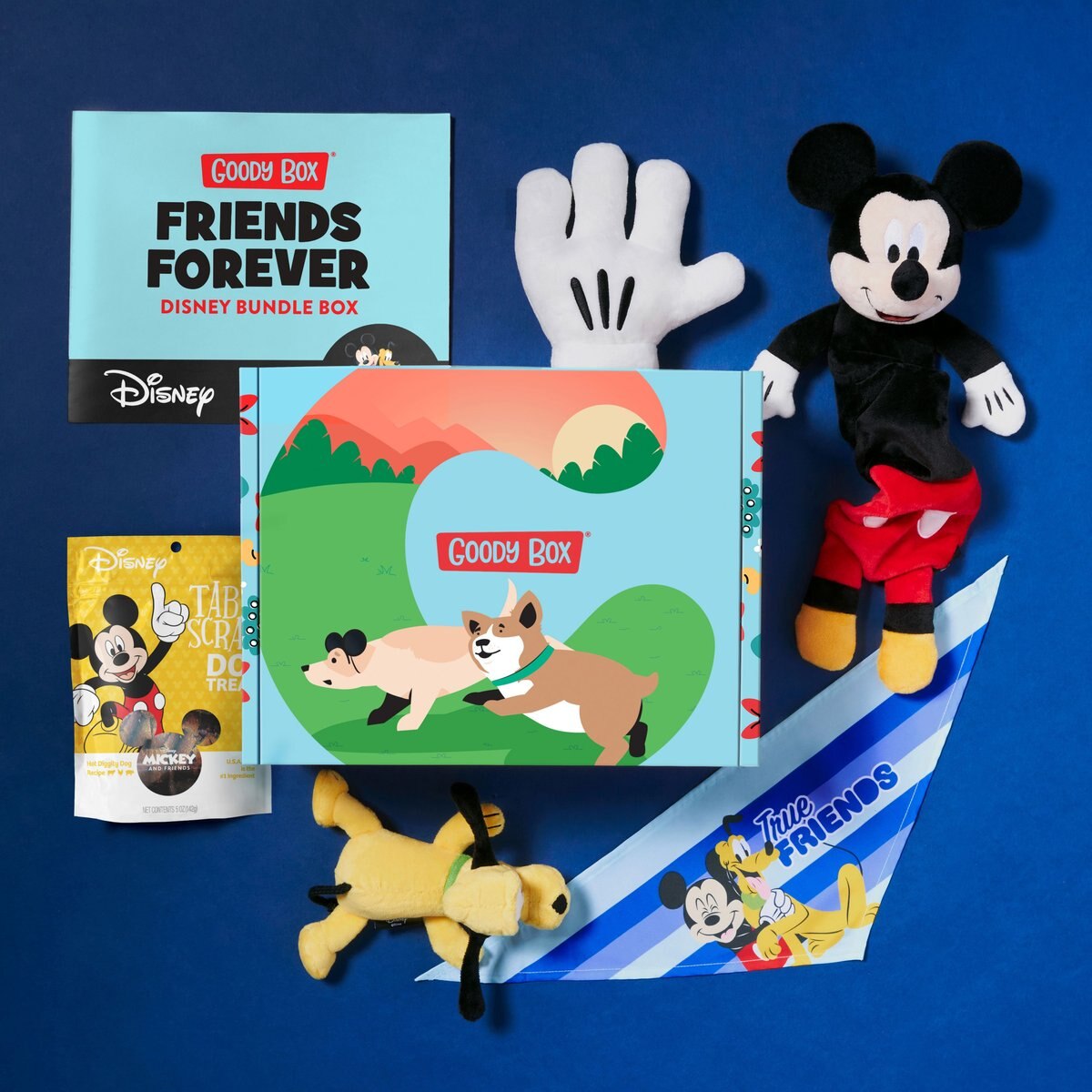 Goody Box Disney Mickey Mouse and Pluto Dog Box