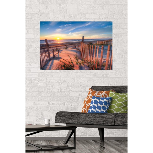 Trends International Scenery Boardwalk Unframed Wall Poster Prints