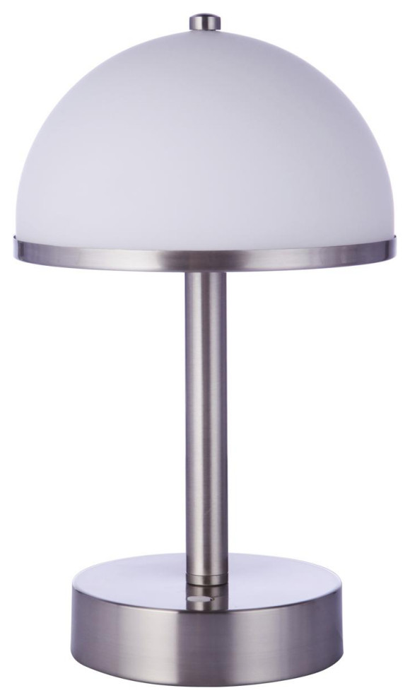 Rechargable Portable 1 Light Table Lamp  Brushed Polished Nickel   Transitional   Outdoor Table Lamps   by Buildcom  Houzz