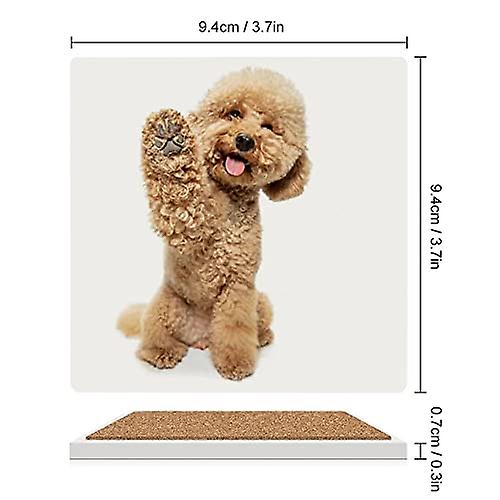 Colourlife Square Drink Coasters 6 Pcs Cute Puppy Of Maltipoo Dog Posing Absorbent Ceramic Coffee Coasters For Drinks With Cork Base Housewarming Gift