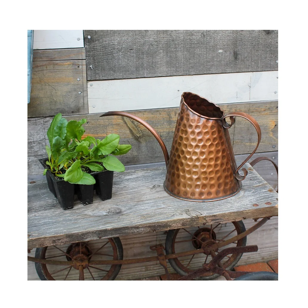 Copper Antique finished unique designer Galvanized Watering Can Garden Watering Cans Garden Accessories At Lowest Price