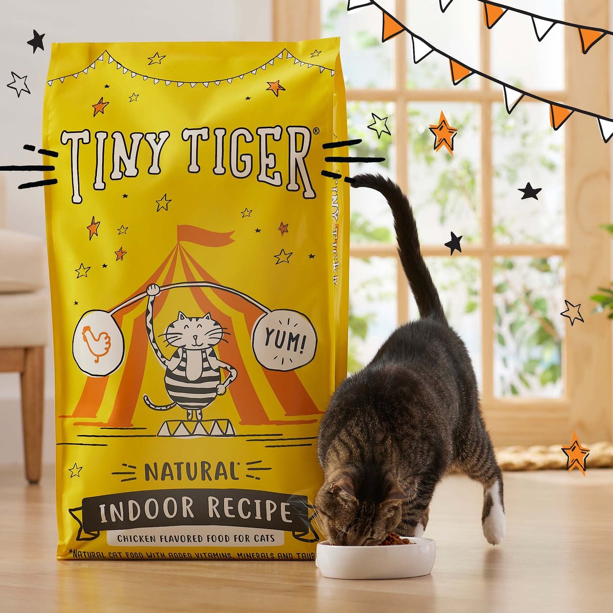 Tiny Tiger， Natural Indoor Recipe Chicken Flavor Dry Cat Food