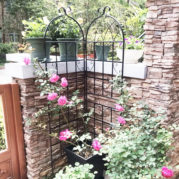 4 Pack Metal Garden Trellis 71 x 19.7 Rustproof ...