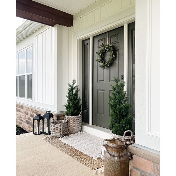 3' Mini Cedar Pine Tree (Indoor/Outdoor)