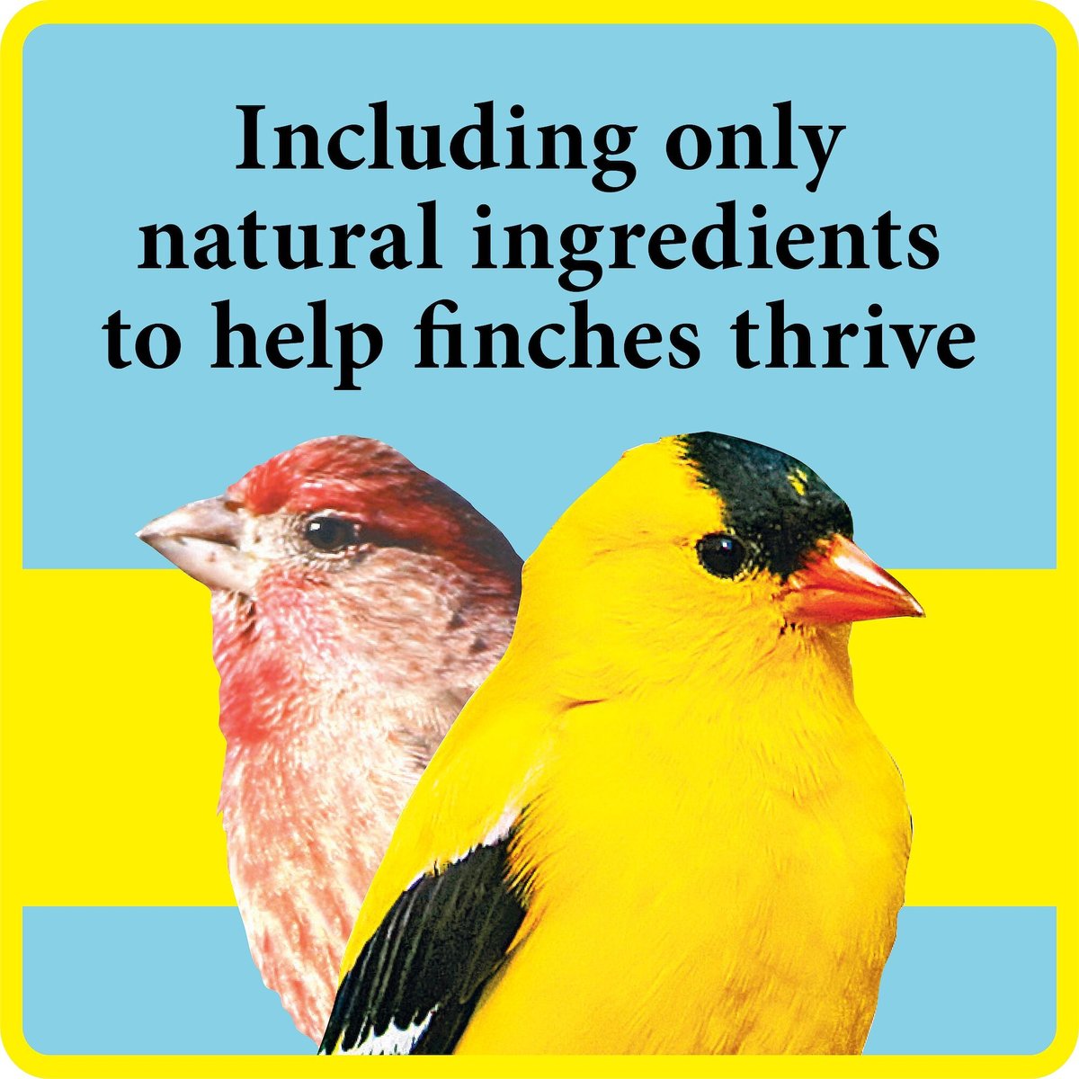 Better Bird Finch Bird Food， 4-lb bag