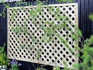 Decorate garden pvc white lattice fence