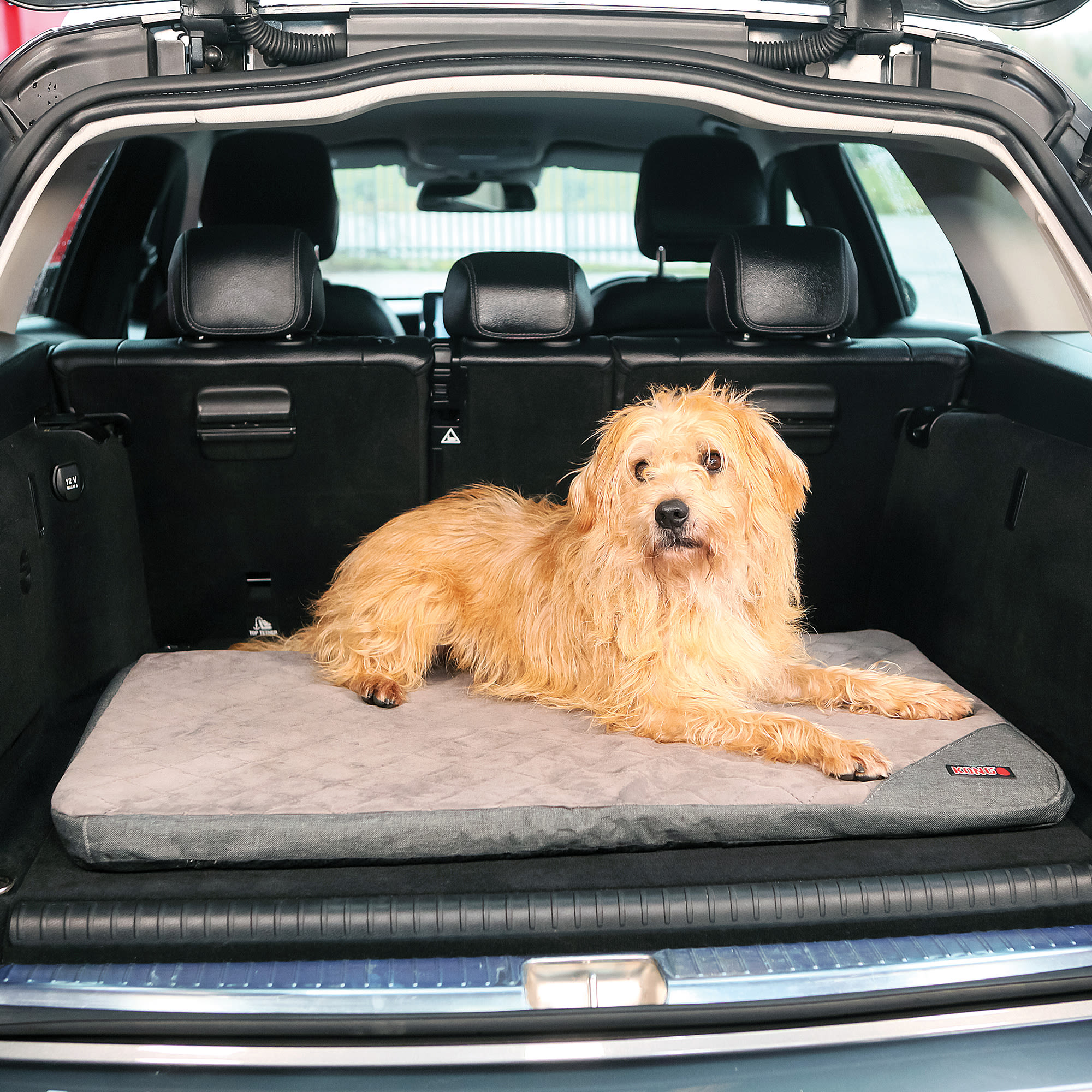 KONG Fold-Up Non-Slip Dog Travel Mat， 36