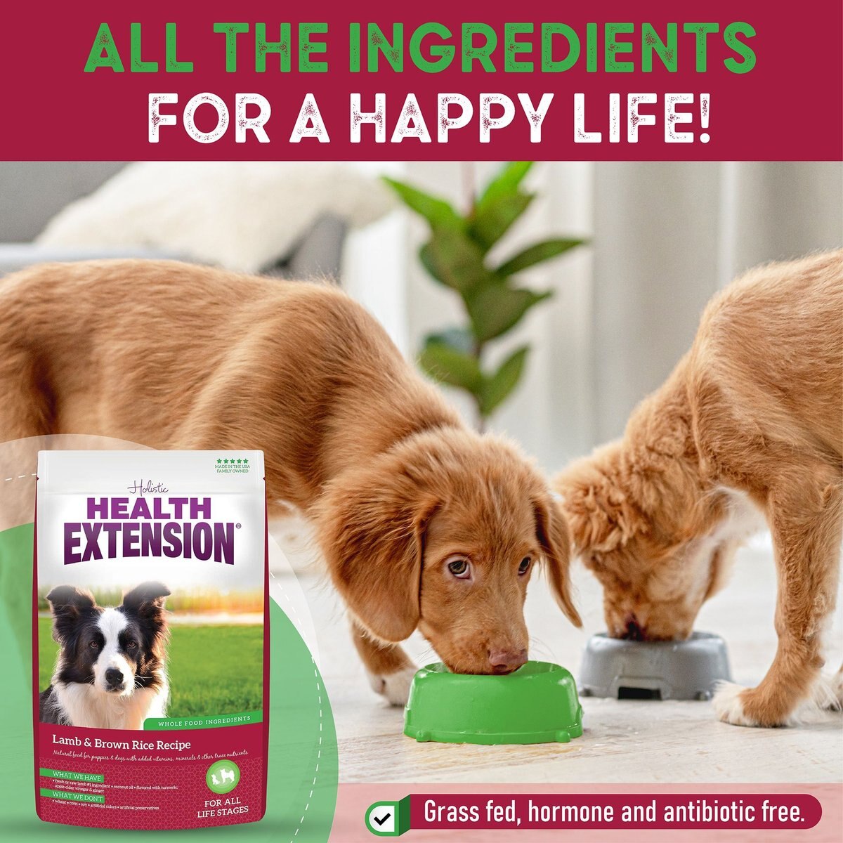 Health Extension Lamb and Brown Rice Dry Dog Food