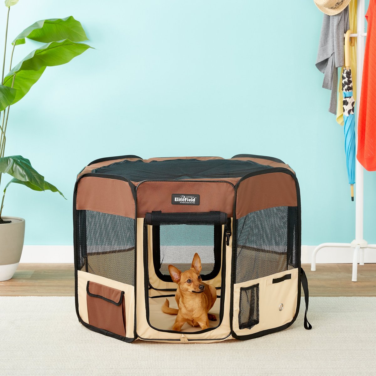 Dog and Cat Playpen #1