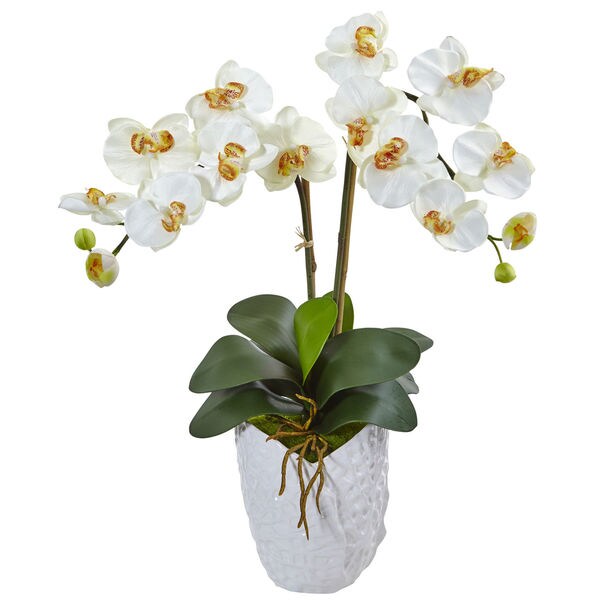 Nearly Natural Double Silk Phalaenopsis Orchid in White Ceramic Vase