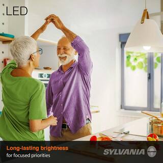 Sylvania LED 75-Watt Equivalent A19 3-Year Lifetime 5000K 16 Bulb Pack 42125