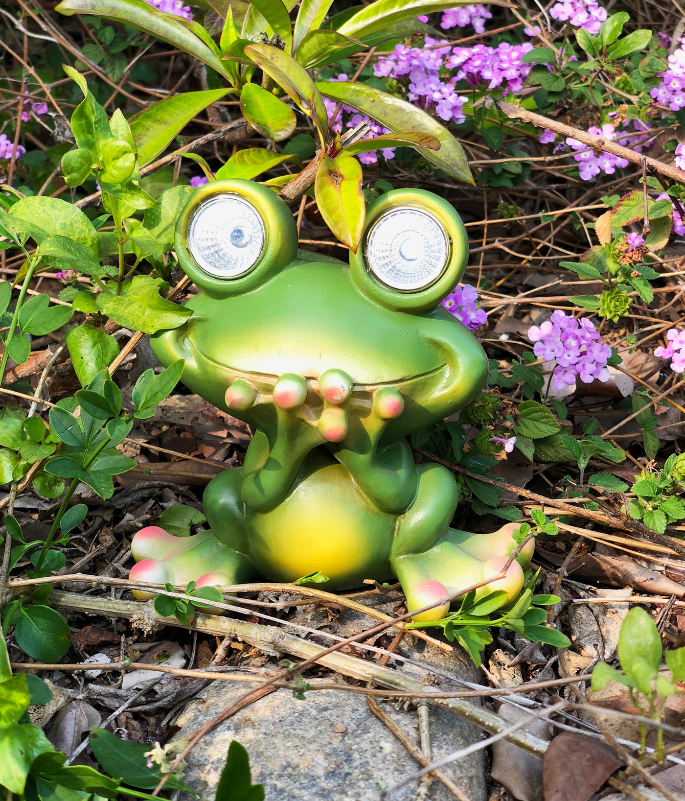 Solar Powered Frog Outdoor LED Garden Light Decor (SPEAK - NO)