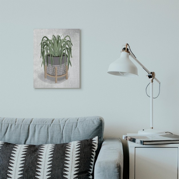 Stupell Industries Friendly Spider Plant Grey Green Painting