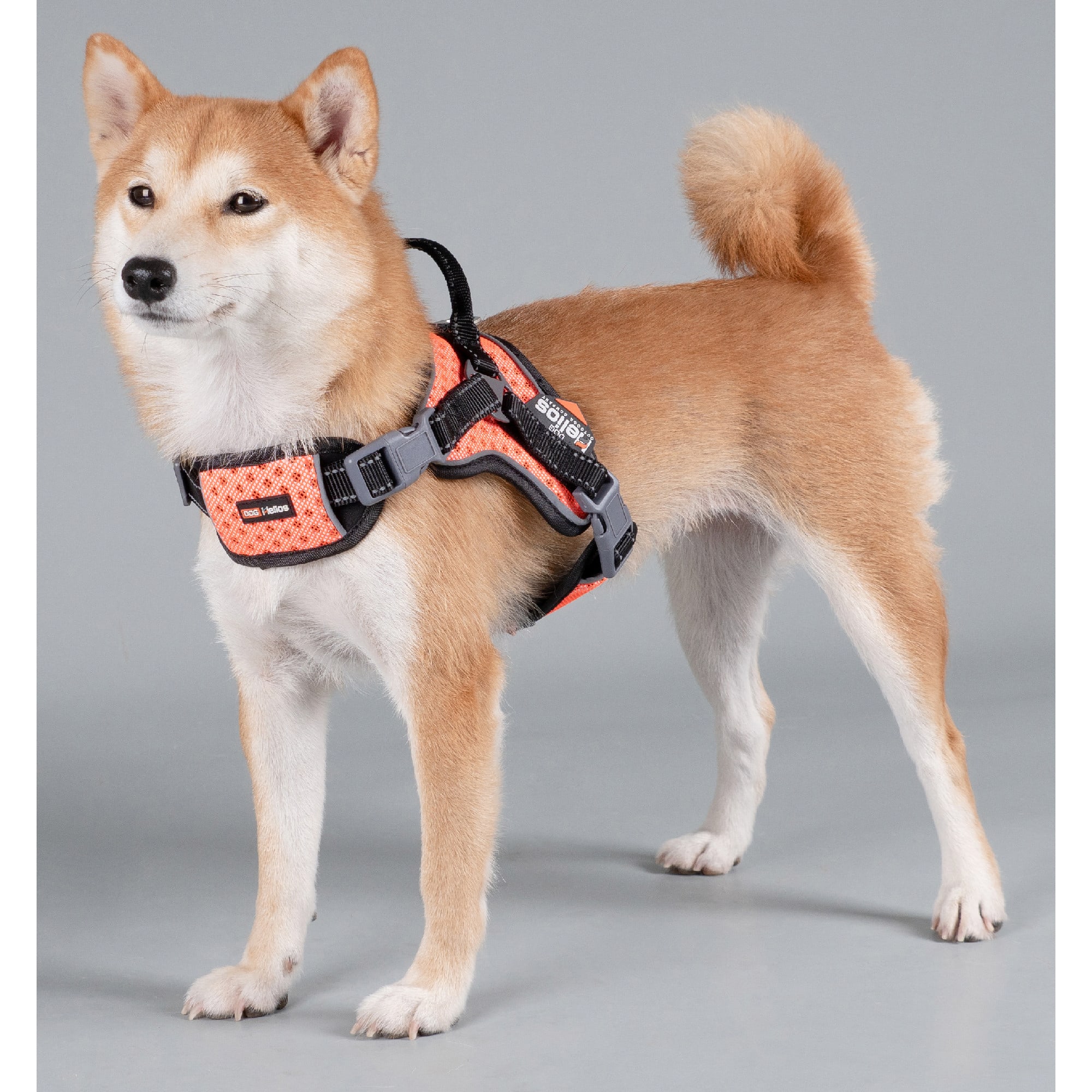 Dog Helios Orange Scorpion Sporty High-Performance Free-Range Dog Harness， Small