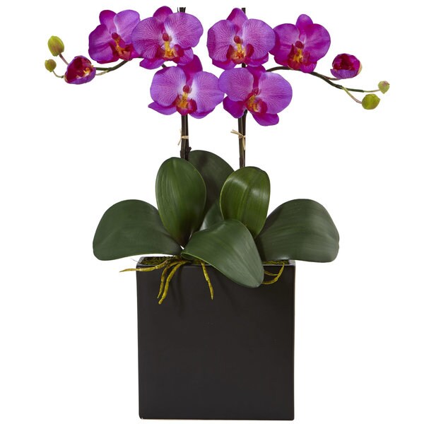 Nearly Natural Silk Artificial Double Mini Phalaenopsis in Black Vase