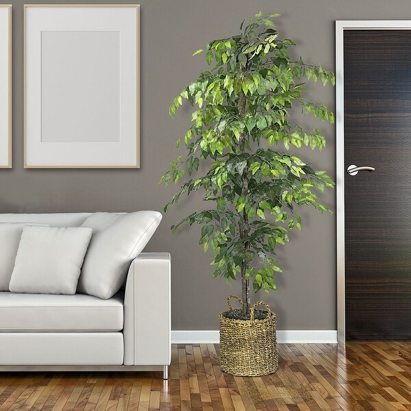 6foot Artificial Ficus Tree in Basket