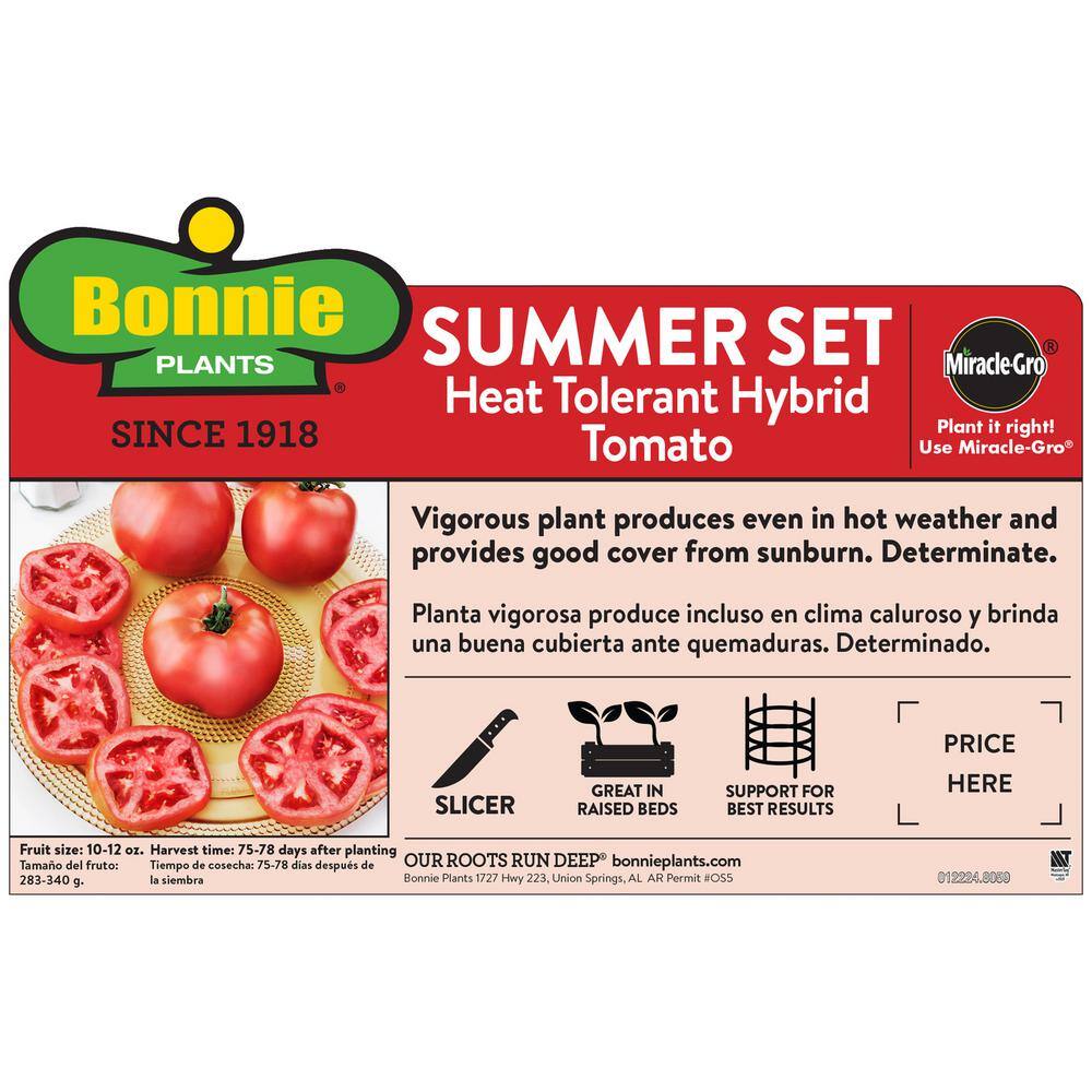 Bonnie Plants 2.32 qt. Summer Set Tomato Plant 0273
