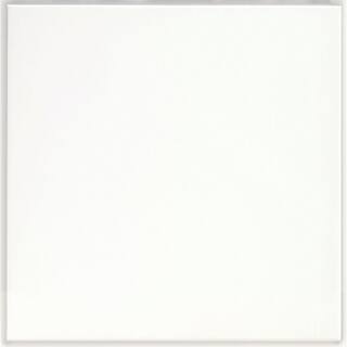 KRAFTMAID SIMPLICITY Fielding Simplicity 14-58 x 14-58 in. Cabinet Door Sample in Dove White RDCDS.KMSAL8D4DWD