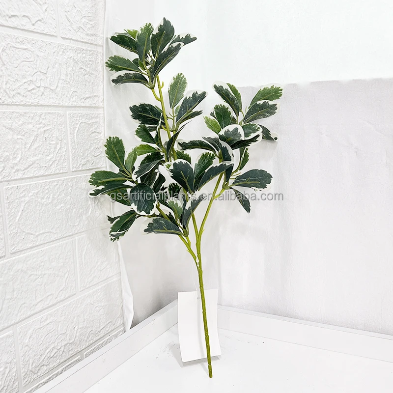 48cm height Japanese Polyscias guilfoylei Artificial Tree Leaves single pole stem artificial plant for indoor decor