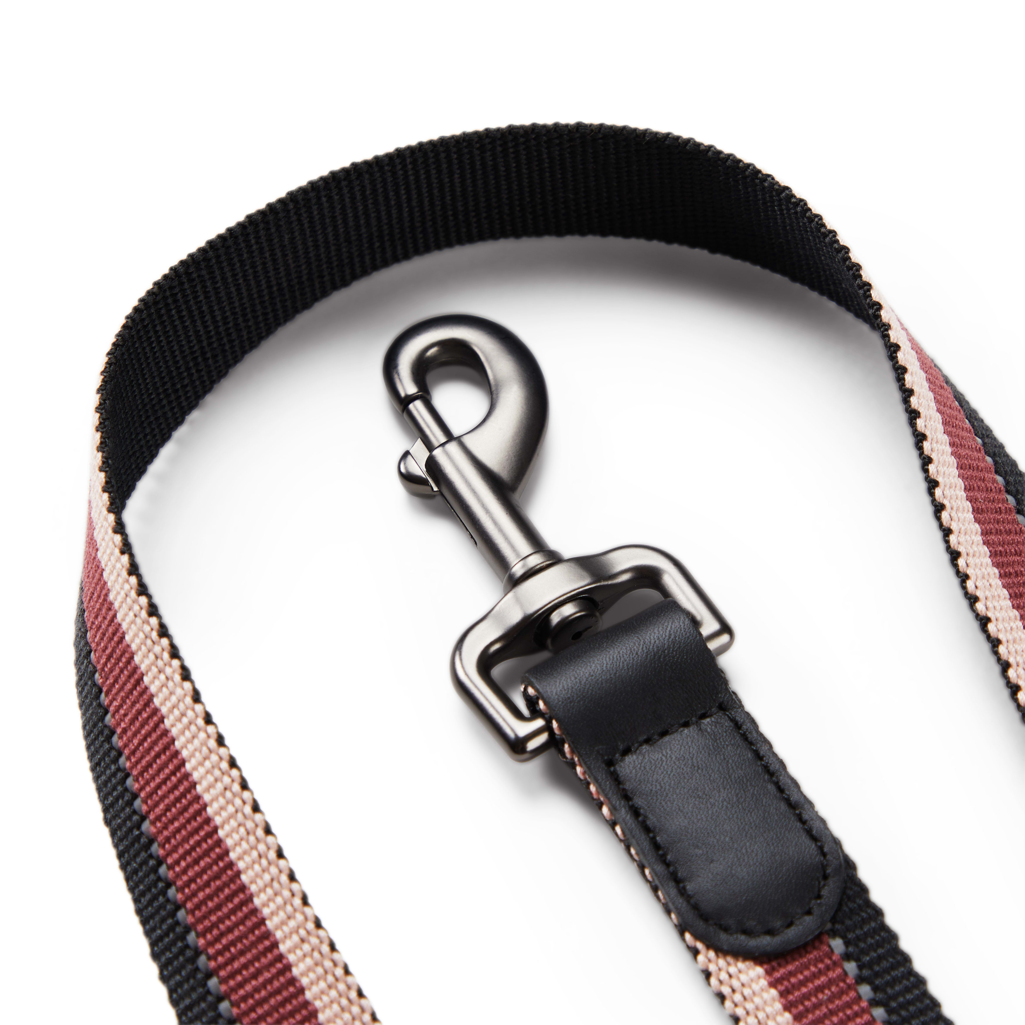 Reddy Burgundy Stripe Dog Lead