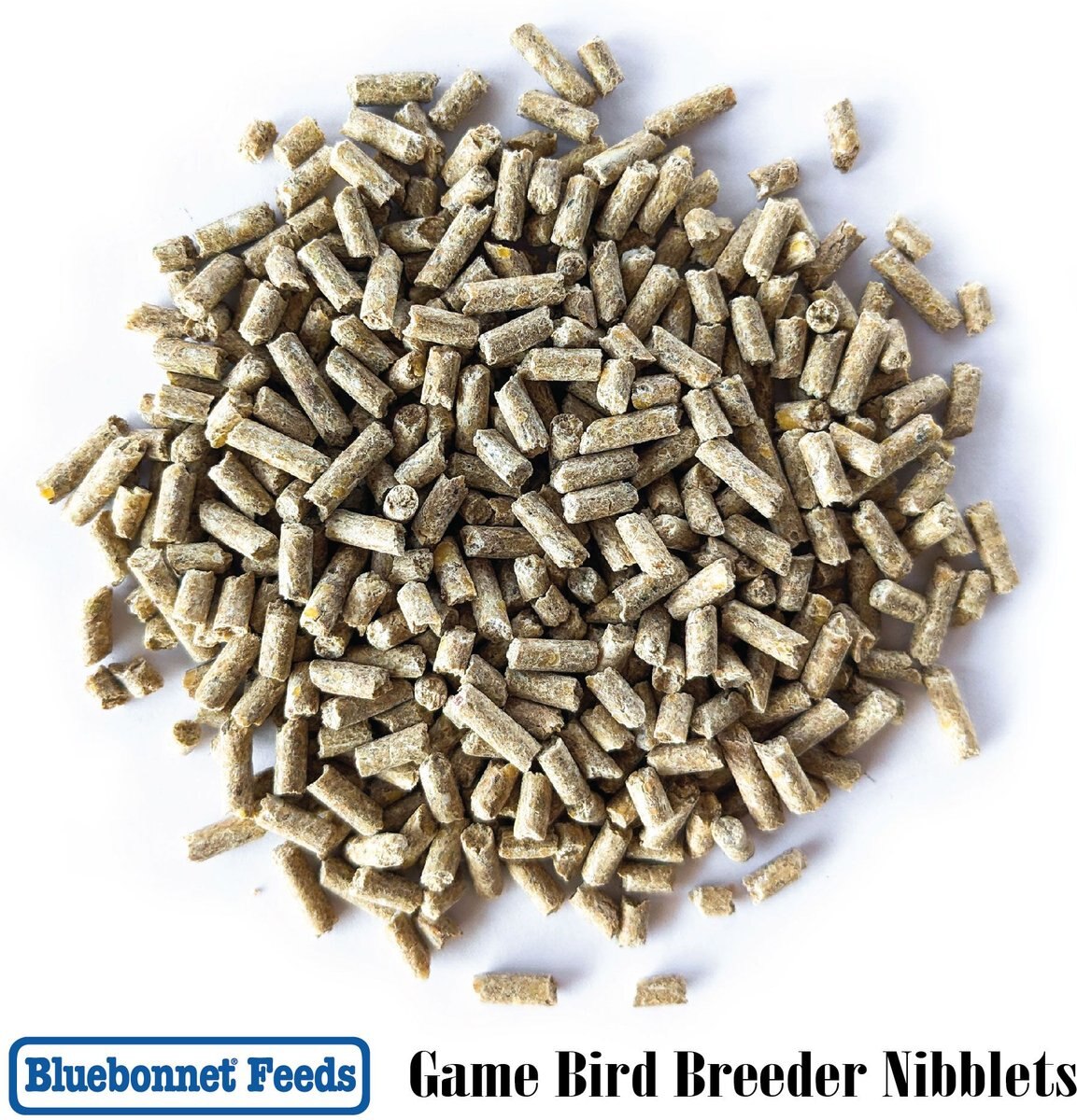 Bluebonnet Feeds Game Bird Breeder Nibblet Bird Food， 50-lb bag