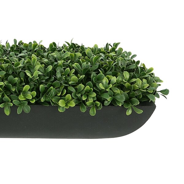 UV Rated Outdoor Boxwood Arrangement in Fiberstone Planter