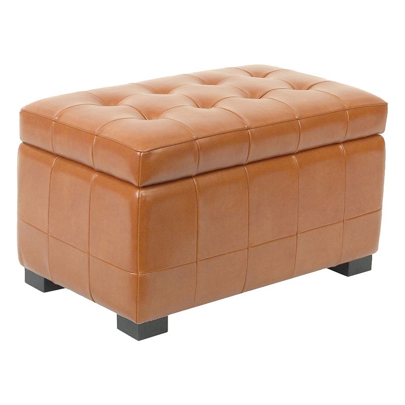 Safavieh Manhattan Storage Bench