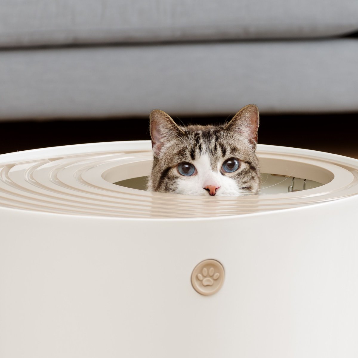 IRIS Round Top Entry Cat Litter Box and Scoop