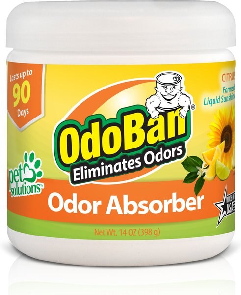 OdoBan Solid Odor Absorber Citrus Deodorizer， 14-oz jar