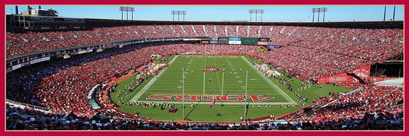 San Francisco 49ers Stadium NFL 1000 Piece Panoram...