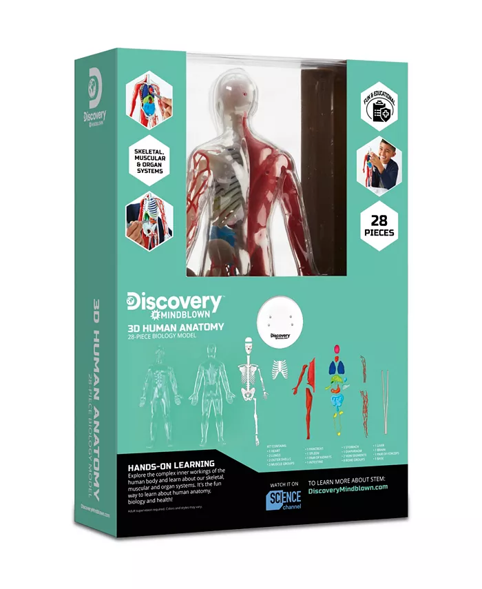 Discovery #MINDBLOWN 3D Human Anatomy 28-Piece Biology Model